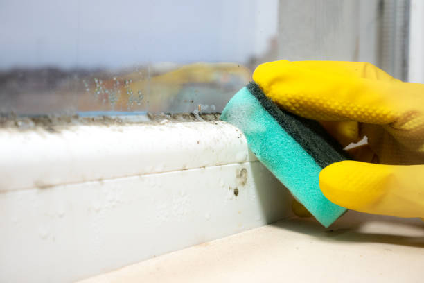 Water Damage Restoration in Churchill, PA