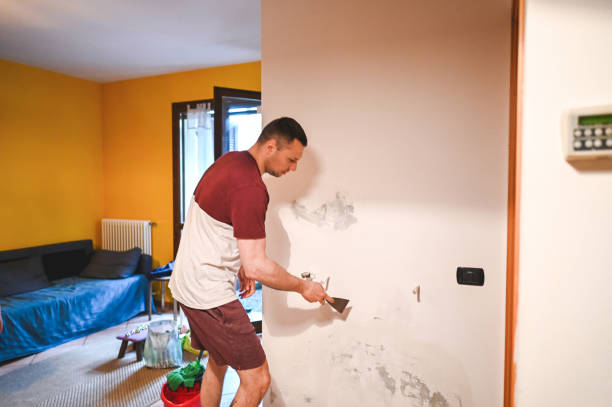 Office Mold Removal Services in Churchill, PA